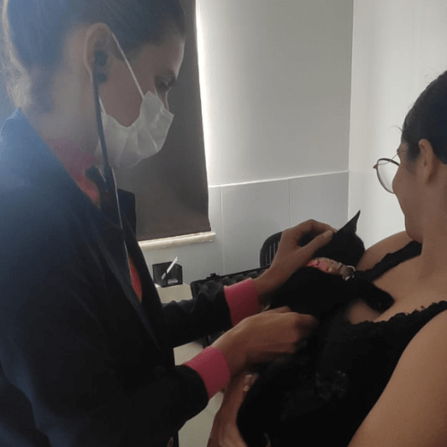 Marta Soares - Cardiologista veterinária (2)